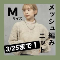 【大特価】ニット 透かし編み メッシュ ショート丈 セーター 韓国 オシャレのサムネイル