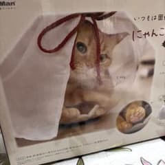 にゃんこの金魚鉢 Mのサムネイル