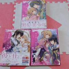 マロ様専用  中古 魔法使いの婚約者 1～3のサムネイル