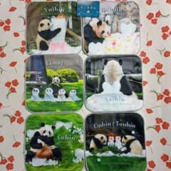 アドベンチャーワールド　先行ガチャ　パンダ ミニタオル 　6枚コンプリート アドベンチャーワールド 先行ガチャ パンダ ミニタオル 6枚