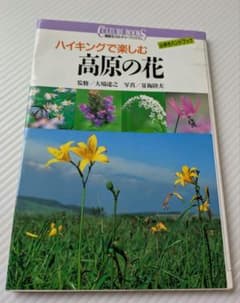 ハイキングで楽しむ 高原の花のサムネイル