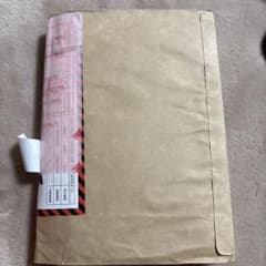 変な家2 リンヨウ様専用のサムネイル