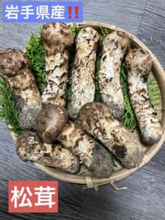 岩手県産‼️松茸　245gのサムネイル