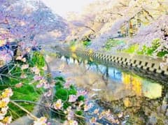 RHちゃま様 専用のサムネイル