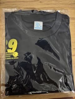 NAHAマラソン　TシャツMサイズのサムネイル