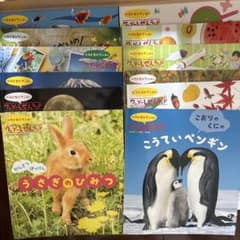 ワンダーしぜんランド　 2024年度版　絵本セット 全12冊のサムネイル