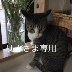 ◆再値下げ*\(^o^)/*◆ 新品未使用❤️ウェッジウッドコースター ❤️のサムネイル