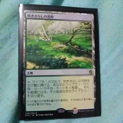 MTG 吹きさらしの荒野他2枚のサムネイル