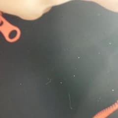 シロロン様　専用のサムネイル