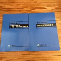 特別支援学校 学習指導要領 2冊セット