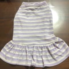 犬　服　ワンピースのサムネイル