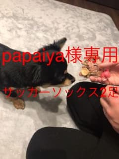 papaiya様専用  キッズサッカー2足のサムネイル