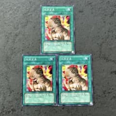 遊戯王 メタモルフォーゼ 突然変異 - メルカリ