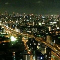 なんでやし！様専用 ボルバルザーク紫電ドラゴンのサムネイル