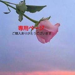 専用ページのサムネイル