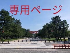 美品！ダイアナファーバッグのサムネイル