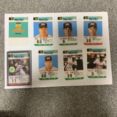 タカラプロ野球カード1991年版福岡ダイエーホークス30枚➕予備カード1