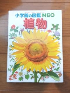 小学館の図鑑　NEO 植物のサムネイル