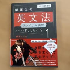 大学入試問題集 関正生の英文法ファイナル演習ポラリス[1 標準レベル]のサムネイル