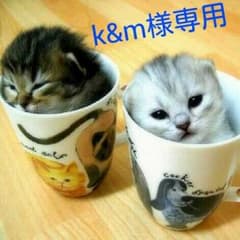 k&m様専用のサムネイル