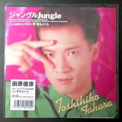 田原俊彦 ジャングルJungle レコード - メルカリ