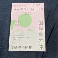 INTERNATIONAL LAW DOCUMENTS 2024のサムネイル