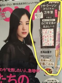 ⭐︎日経ウーマン　11月号　付録⭐︎ リサ・ラーソン　万年筆とノート　(オマケあり)のサムネイル