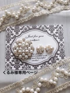 くるみ様専用ページ❁ブローチ＆蝶バネイヤリングセットのサムネイル