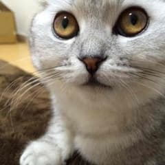 Kaoru様 専用のサムネイル