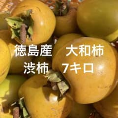 徳島県産　大和柿　7キロ 大小様々サイズのサムネイル