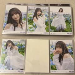 m44139884184_1.jpg?1711737298