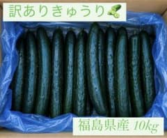 訳ありきゅうり 福島県産10kgのサムネイル