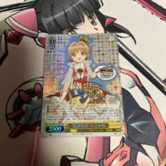 記念写真 木之本桜 srのサムネイル