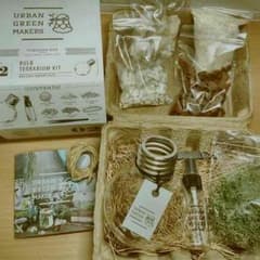 電球 テラリウム 自分好みに作りましょう！のサムネイル