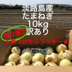 ★個数限定出荷★淡路島産　たまねぎ　10kg  訳あり　淡路島　タマネギのサムネイル