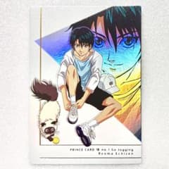テニスの王子様☆越前リョーマ＆カルピン☆お花見レアカード テニプリトレカ m44190873592_1.jpg?1774016001