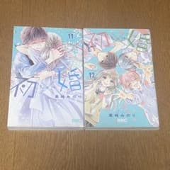 初×婚 11巻 12巻 黒崎みのりのサムネイル