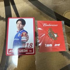 バドワイザーくじ　ピンバッジ&カードのサムネイル