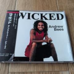 帯付き見本盤Andrew Bees WICKEDBeesアンドリュー・ビーズCDのサムネイル
