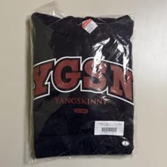 Young Skinny, the hoodie from that fashion magazine I bought the other day, navy, size L.