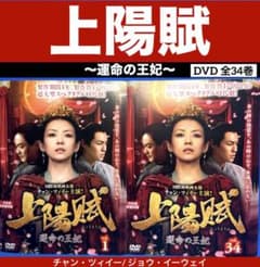 上陽賦～運命の王妃～ DVD 全34巻 チャン・ツィイー/ ジョウ