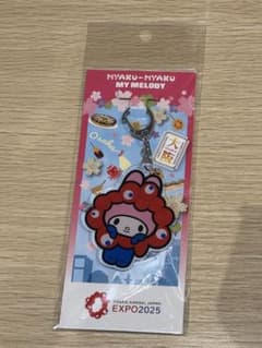 【新品・未使用】希少マイメロディ アクリルキーホルダー 大阪万博2025のサムネイル