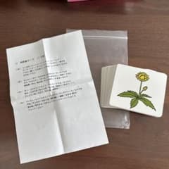 ピグマリオン 季節感カード 72枚セット全枚数揃い 一覧表付き小学校受験幼児教育のサムネイル