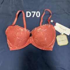 D70 트림프 골드 라벨 프리지아 꽃 브래지어