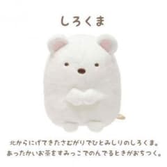 新品＊しろくまぬいぐるみのサムネイル
