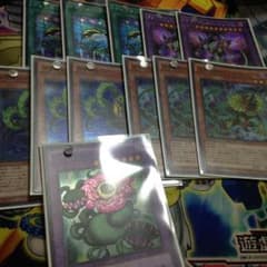 遊戯王 捕食植物パーツのサムネイル