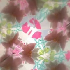 専用ですのサムネイル
