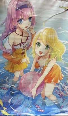 ルーンファクトリー5 プレミアムボックス　ソフマップ特典タペストリー付き ルーンファクトリー5 プレミアムボックスソフマップ特典タペストリー付き