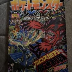 ポケットモンスター XY最速クリアガイド