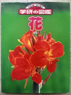 NEW WIDE 学研の図鑑 花のサムネイル